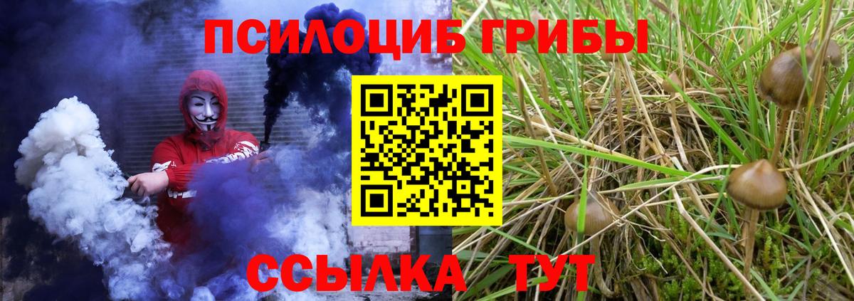 Черемхово  Псилоцибиновые грибы Psilocybe  Вход с VPN  Псилоцибиновые грибы Psilocybe 
